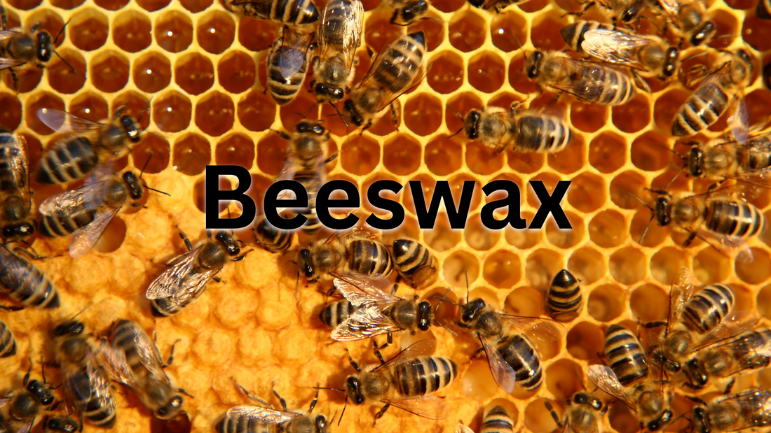 Learn the Herb: Beeswax 🌿