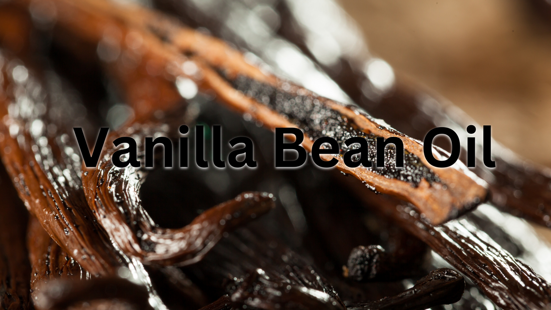Learn the Herb: Vanilla Bean Oil 🌿