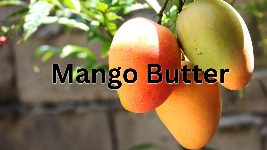 Learn the Herb: Mango Butter 🌿