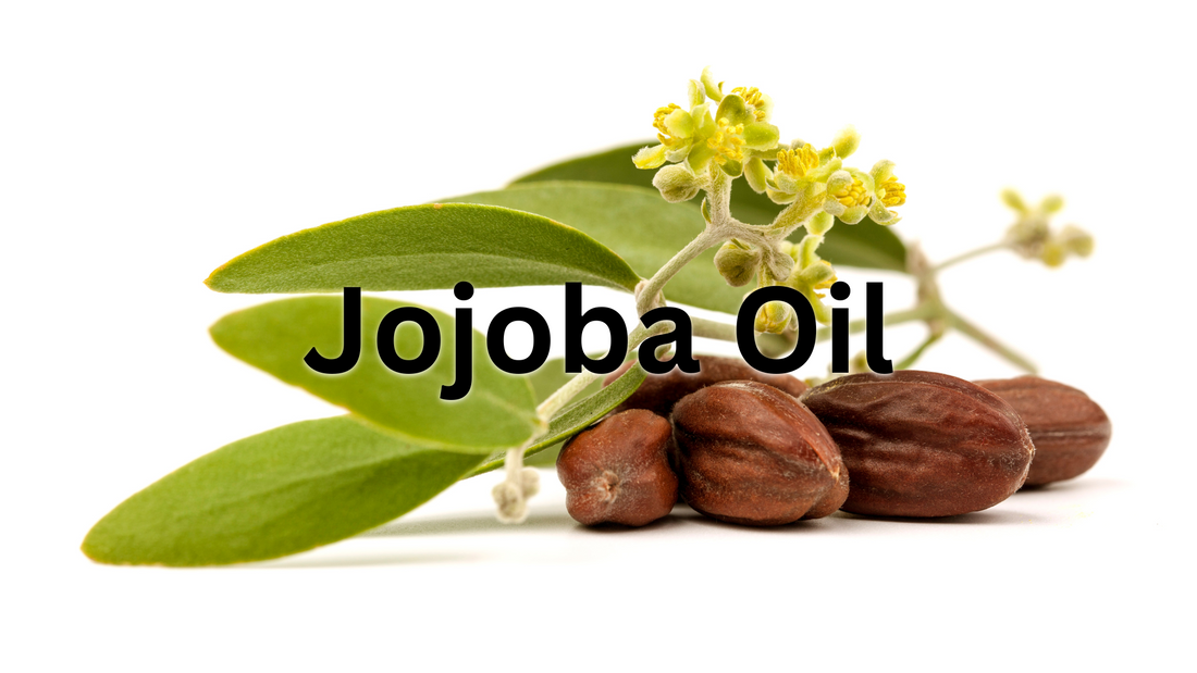 Learn the Herb: Jojoba Oil 🌿